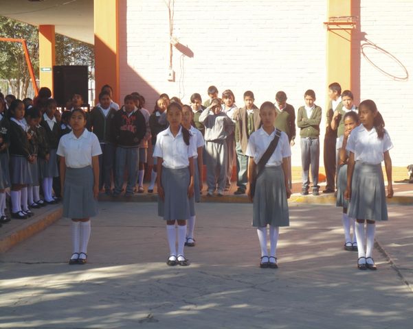 6° 